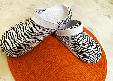 Zebrovité kroksy, 38