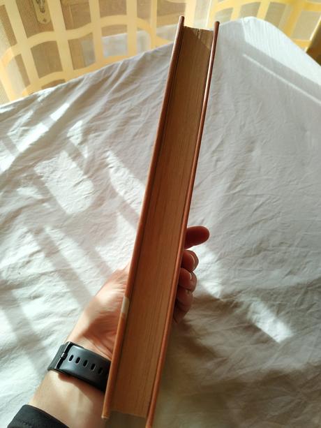 2x historicky roman v cz, 