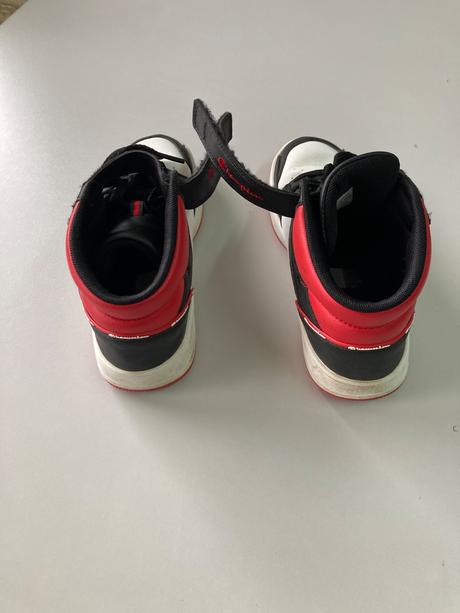 Botasky, champion,38