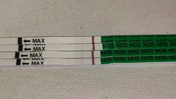 Môže teplota ukazovať tehotenstvo? Diskutujme!