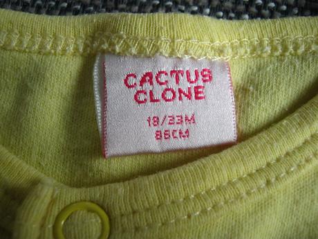 Overal na leto, cactus clone,86