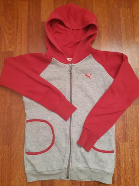 Mikina, puma,152