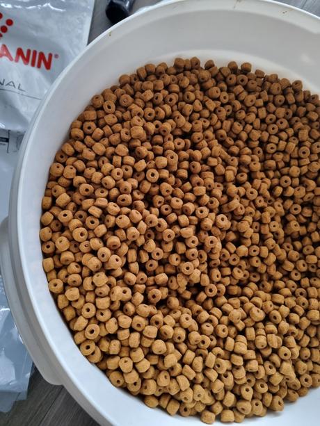 Granule pre šteňa labradora royal canin, 