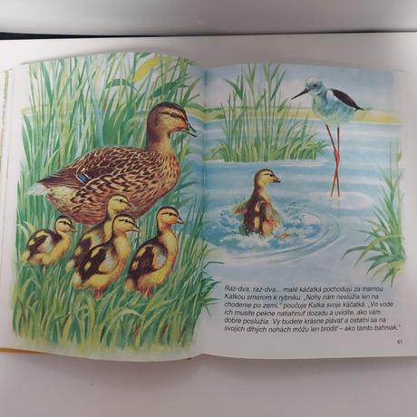 Moji kamarati zvieratka,