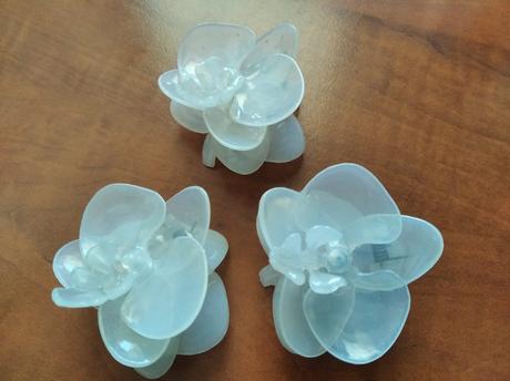 Štipce na orchideu,