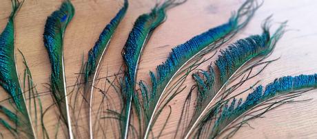 Pierko ozdobné 30-35 cm,