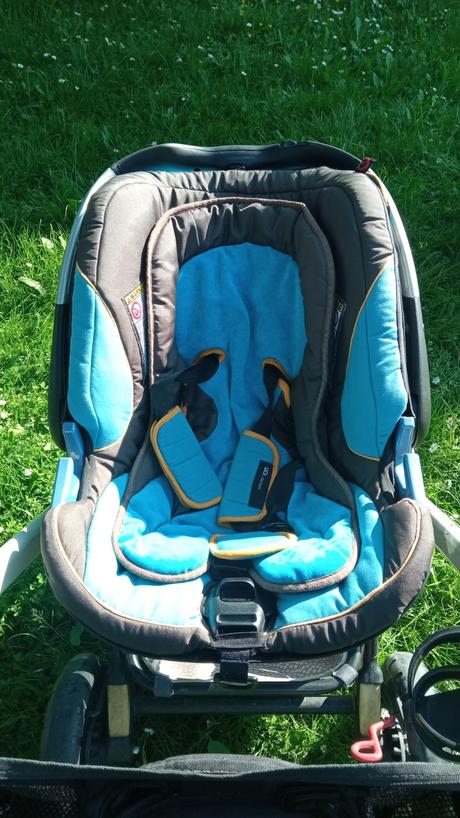 Concord wanderer trojkombinácia, concord,concord wanderer