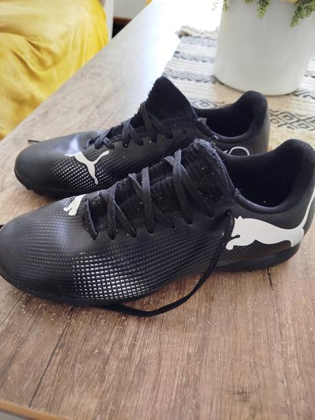 Halovky puma, puma,36