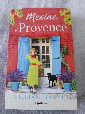 Mesiac v provence, 