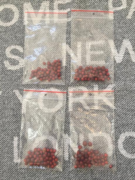 Špargľa lekárska  - asparagus  semena 40ks, 