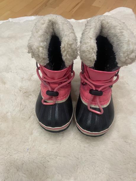 Snehule sorel, sorel,25