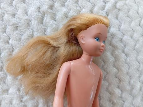 Barbie skipper raritná bábika,