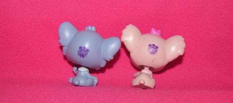 Lps koala, 