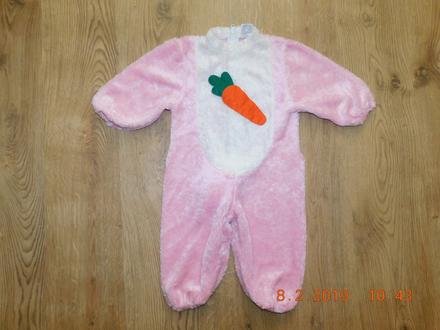 51s. zajačik na karneval 1/2, 