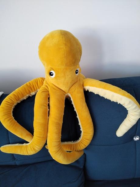 Makkučká chobotnica veľká, 