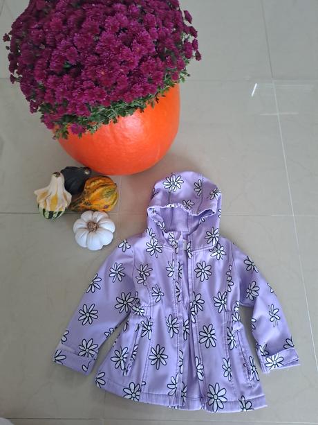 Super bunda, gate,92