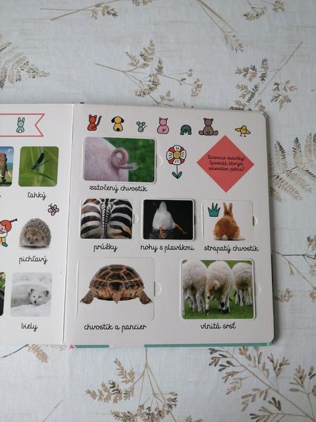 Veľká kniha zvieratá z celého sveta,