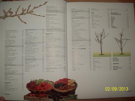 Rez ovocných stromov,