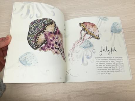 Anna wright magnificient creatures nau20, 