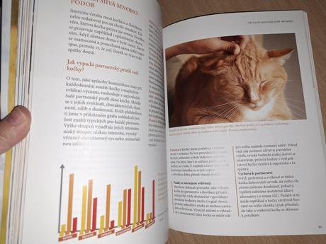 Kočičí řeč, 