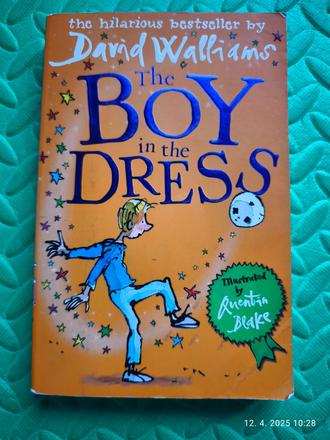 The boy in the dress david walliams,
