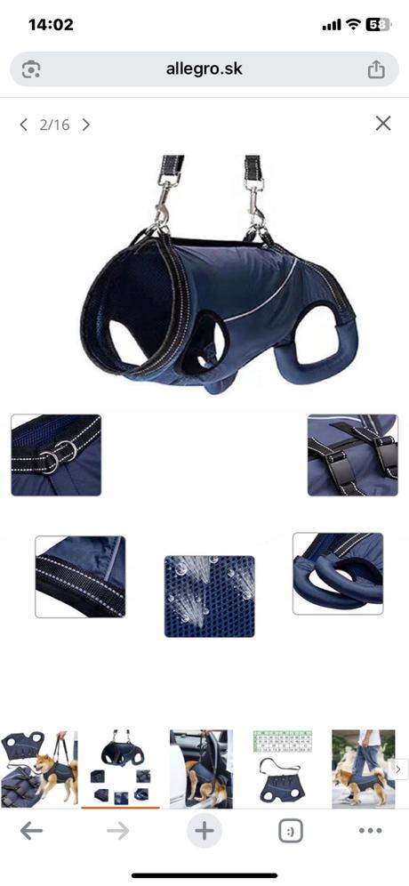 Rehabilitačný postroj, 