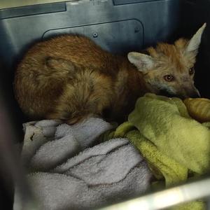 Rozdávajte dobro, ktoré dáva zmysel