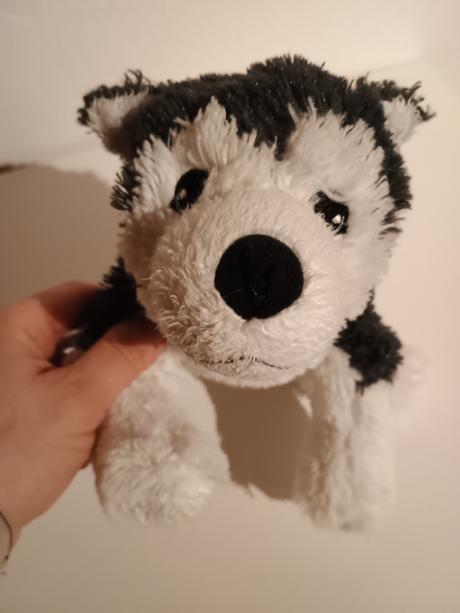 Pes husky ikea,