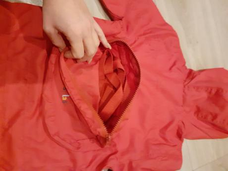 Pršiplašt, adams,92