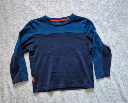 Merino tričko icebreaker, 110