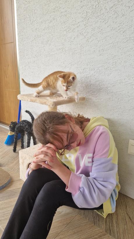 Mikina, reserved,146