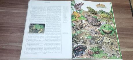 Wildlife of the world, 