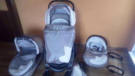 Kočik, tako,tako captiva mohican