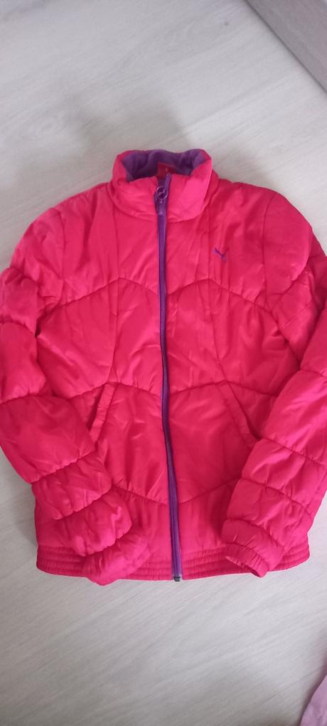 Puma bunda, puma,152