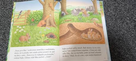 Knižka prečo má ježko pichliače. vydavateľ svojtka, 