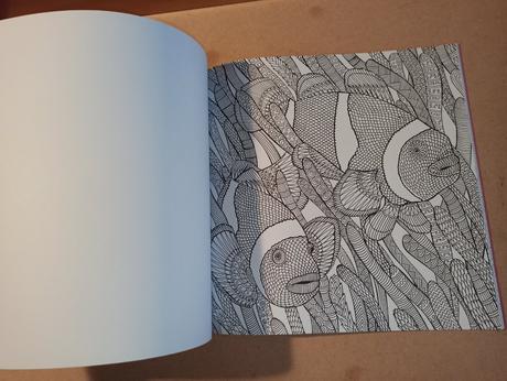 The aquarium marine creatures to colour, 