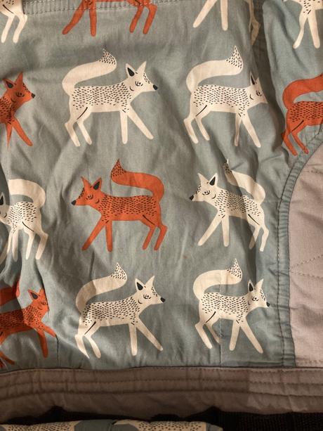 Nosič rischino líšky, rischino