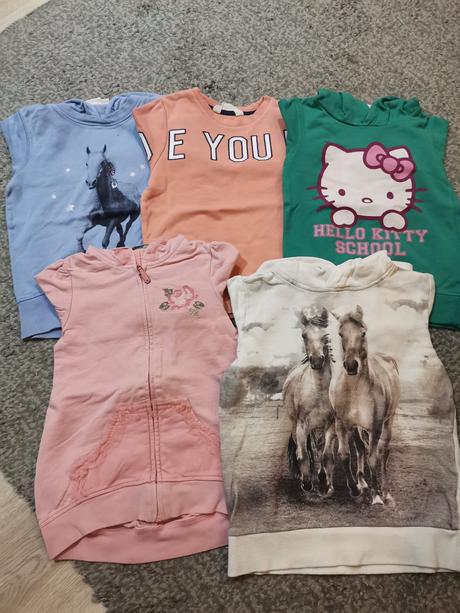 Mikiny, cena spolu, 110