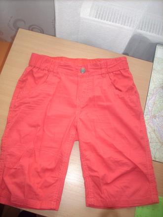 Trištvrťáky, dognose,140