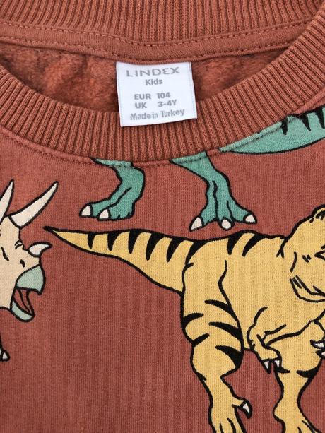 Mikina s dinosaurami, lindex,104