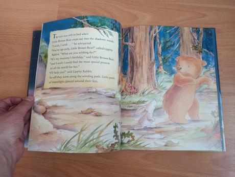 Little bear's special wish hb,