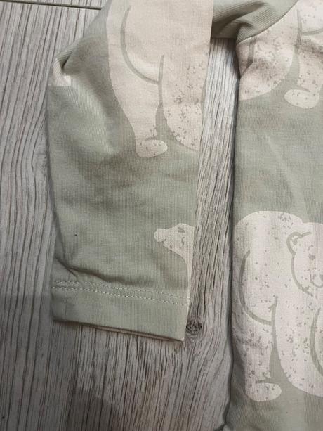 Mentolové obrázkové body, coccodrillo,80