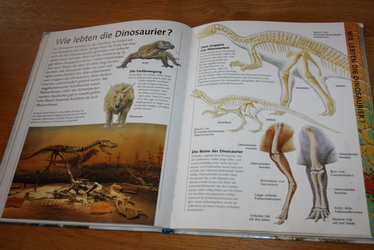Encyklopédia o dinosauroch v nemčine, 