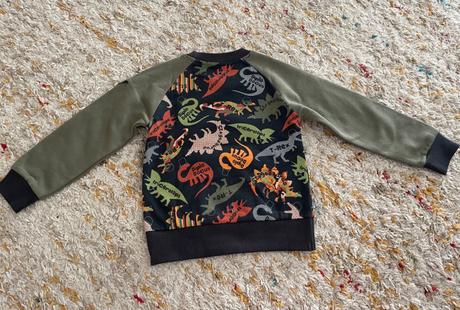 Mikina s dinosaurami, 98