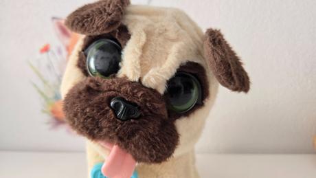 Hopsajúce šteniatko mopslíka,