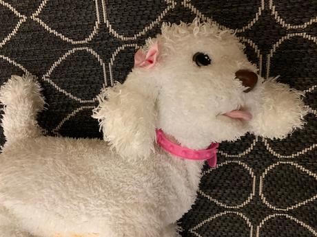 Sada plyšových domácich zvieratiek,