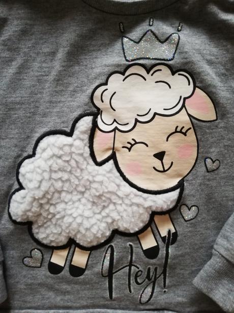 Mikiny terranova 98/104 cena spolu, 98