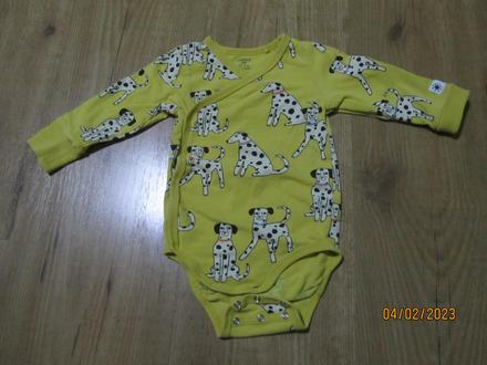 Body lindex, lindex,62