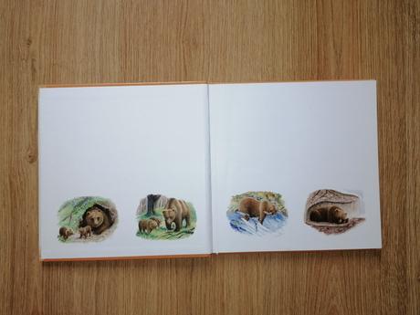 Kniha- zvieratá v 4 ročných obdobiach, 