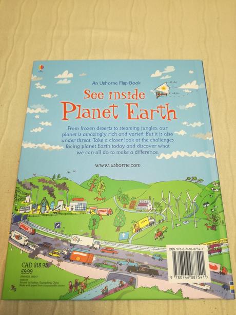 Usborne flap book see inside planet earth,